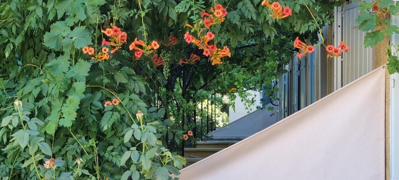 Appart'Hotel Festival Sud Aqua - Avignon Tgv Dış mekan fotoğraf